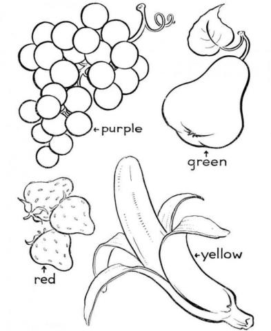 Раскраски фрукты