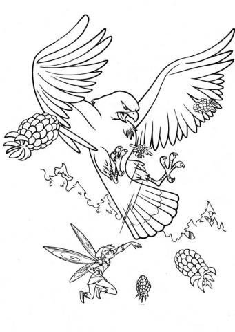 Раскраска фея и орел