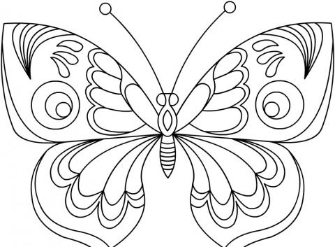 Раскраска бабочка с очень красивыми крыльями