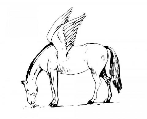 Раскраска лошадь с  крыльями
