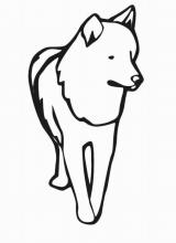 Раскраска "Волк"